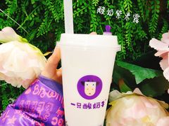 -一只酸奶牛(八一路店)