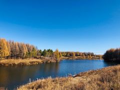 -塞罕坝国家级自然保护区