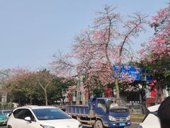 -海珠湖公园