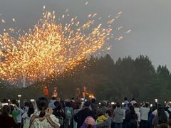 -武汉园博园(武汉自然博物馆)