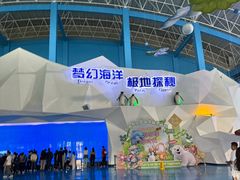 -泉城欧乐堡海洋极地世界