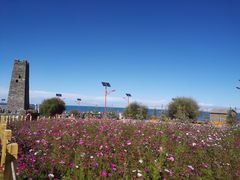 -青海湖国家重点风景名胜区