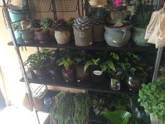 -花样年华花艺生活馆(恒泉花园店)