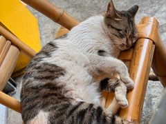 -铜瓢江湖兔火锅(水碾河社区店)