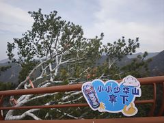 -少华山国家森林公园
