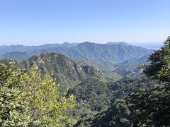 -大岭沟猕猴桃谷风景区