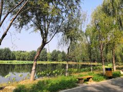-东郊湿地公园