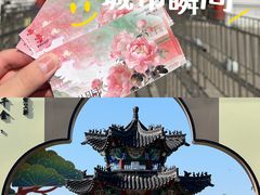 -曹州牡丹园