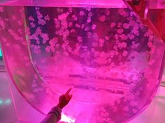 -常州海昌海洋探索馆