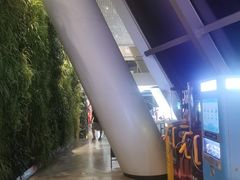 -WFC会仙楼观景台