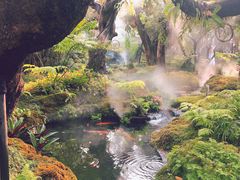 -Chom Cafe and Restaurant