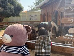 -HERRE·FARM 赫尔露营农场·团建聚会包场