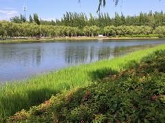 -稻香湖景欢乐岛温泉城堡