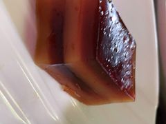 -东鸽皇(奥园·中环广场店)