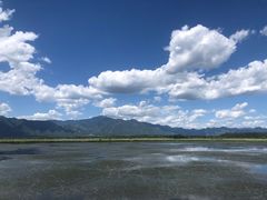 -野鸭湖国家湿地公园