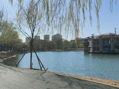 -万泉公园