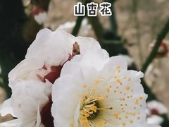 -陕西省西安植物园