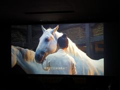 -环球时代影城(吉大店)