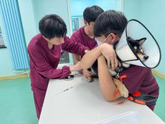 -北京观赏动物医院·24小时大型综合·猫专科·异宠专科
