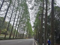 -青城山