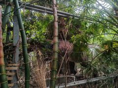 -呀路古热带植物园