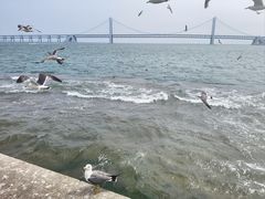 -星海广场