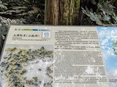 -西湖游船