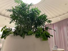 -LANN I 蘭 SPA(陆家嘴中心店)