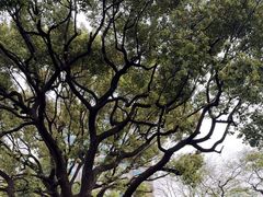 -上海兴国宾馆香樟园西餐厅
