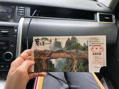 -内乡宝天曼生态旅游区