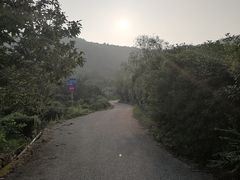 -东山风景区(洞庭东山)