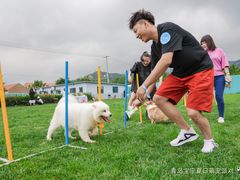 -趣玩宠物乐园寄养训犬训狗游泳池
