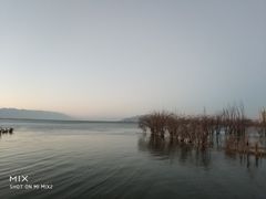 -野菌皇海景野生菌火锅(滨海大道店)