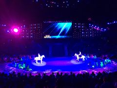 -珠海横琴长隆《卡卡虎奇遇记》