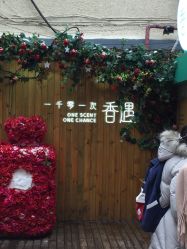 -香遇沙龙香水·调香·团建