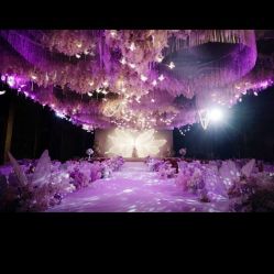 -美薇亭婚礼顾问