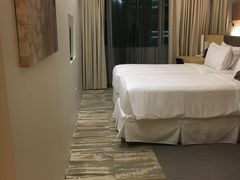 -新加坡柏薇罗切斯特酒店