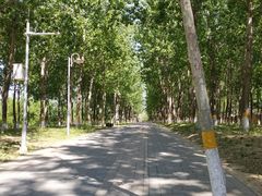 -东升八家郊野公园