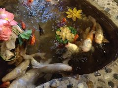 -多哥水傣味餐厅(司马巷店)