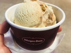 提拉米苏恋曲-哈根达斯(天河城店)