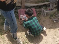 -小鱼草莓采摘园农家乐·小鱼餐厅