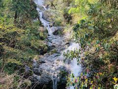 -东天目山风景区