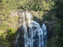 -海南热带雨林国家公园吊罗山景区