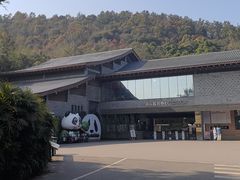 -都江堰中华大熊猫苑