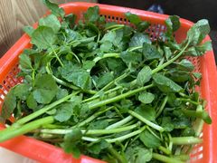 西洋菜-贵宾牛·潮汕牛肉火锅(珠池总店)