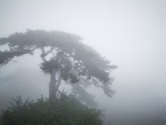 -妙峰山风景名胜区