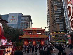 -越秀西湖花市(广州城市广场花卉店)