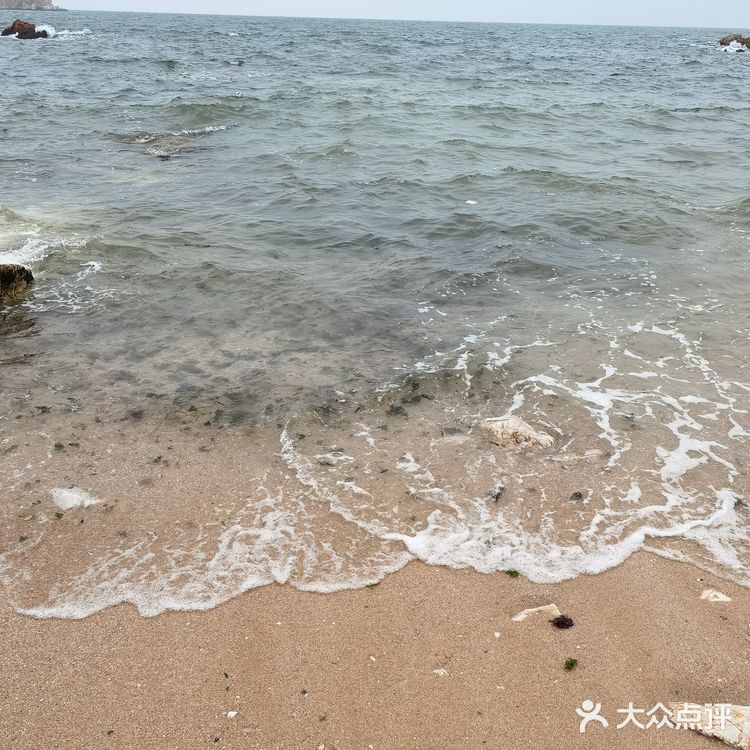 养马岛