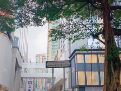 -海港城