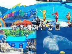 -大连老虎滩海洋公园
